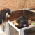 Kennel v/h Samerithahof