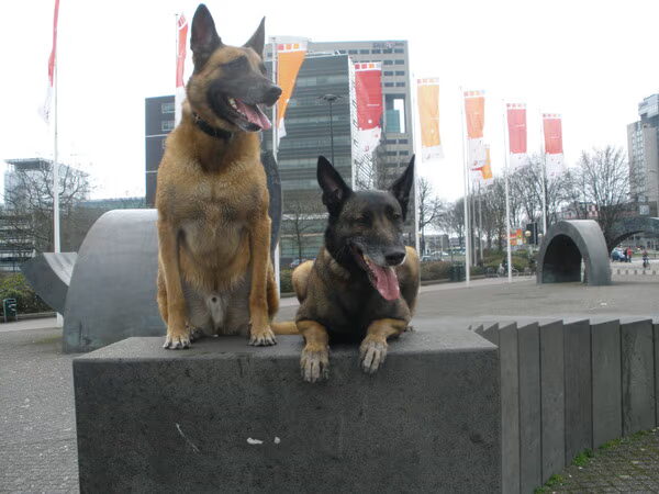 wat hebben we toch geboft