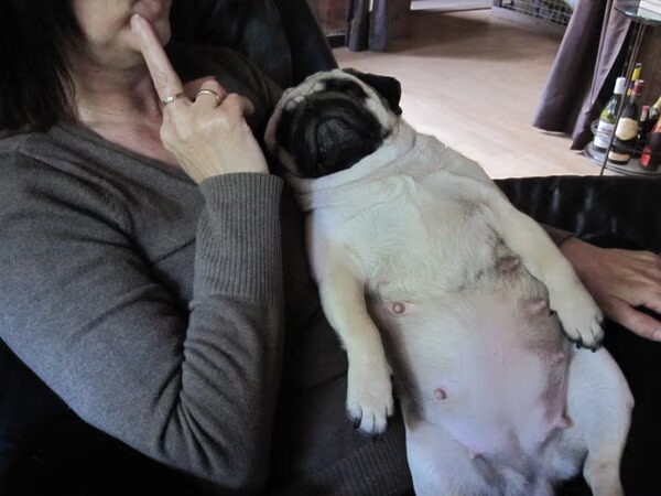 weer een nest.....