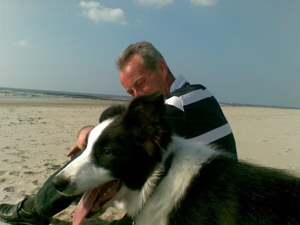 het strand