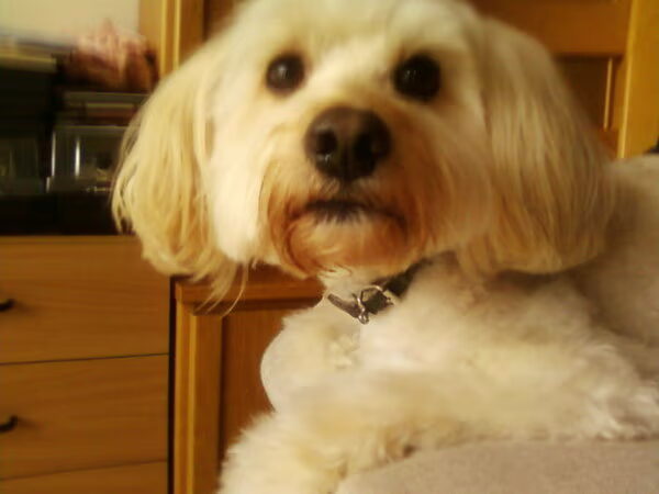 Skip