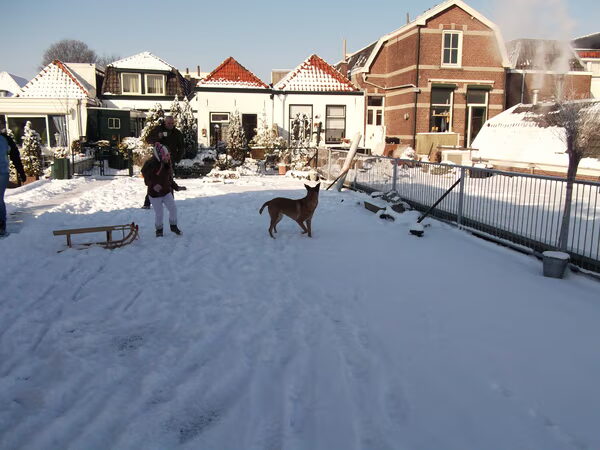 .....toch maar spelen op het dakterras.........