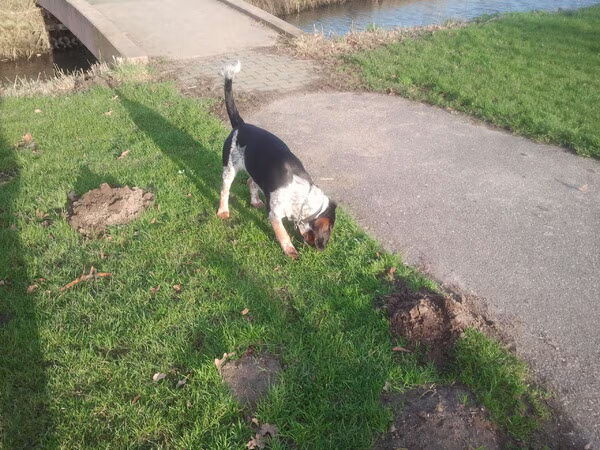 met m,n lieve milow naar het park