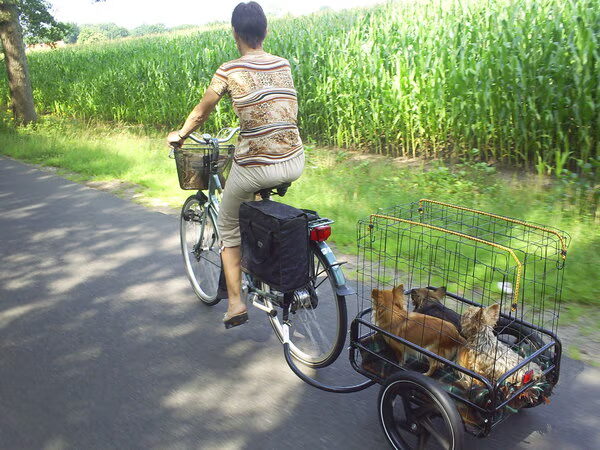 Een eindje fietsen 
