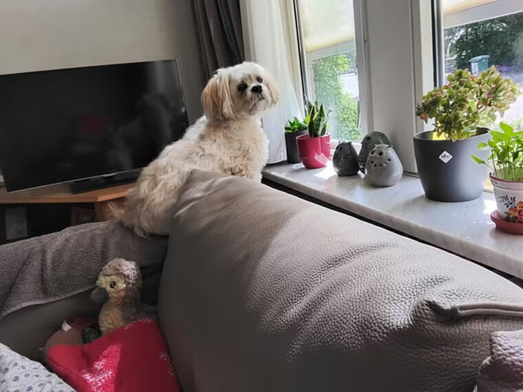 Als ik wakker ben, op de leuning.