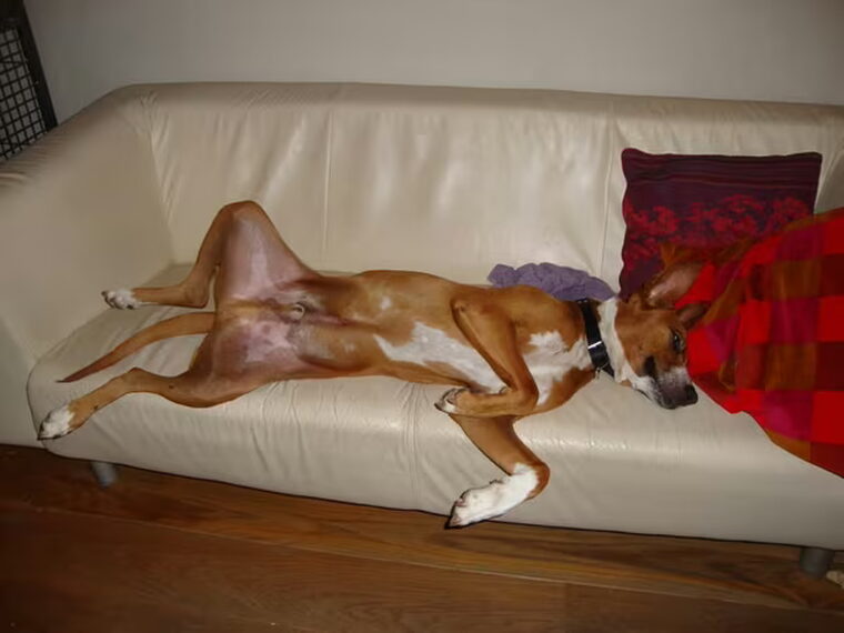 Heerlijk relaxen op de bank.