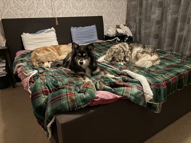 Ernstig… met zijn allen op bed!