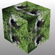 Test of u geschikt bent voor een duitse dog !!!!!