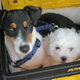 Luca en Nina