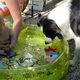 max word 15 dec. 2 jaar