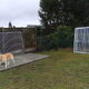 ons hondenren