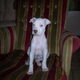 zoey