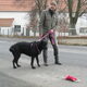 Geen zin om te poseren.