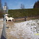 strax wandelen met mn vrouwtje