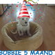 bobbie van jeanpaul