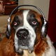 Dogboek online