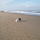 Naar het strand