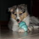Diesel's 3 week