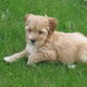 Vrijdag 23 okt. dag 5