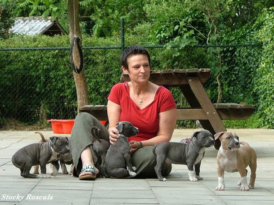 Foto van Stocky Rascals