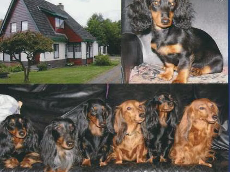 Foto van Fan Muoike Tet