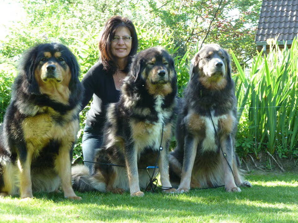 Foto van Jinâdhâra kennel