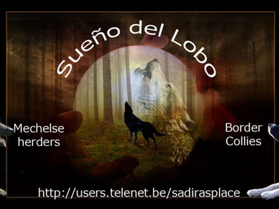 Foto van Sueño del Lobo