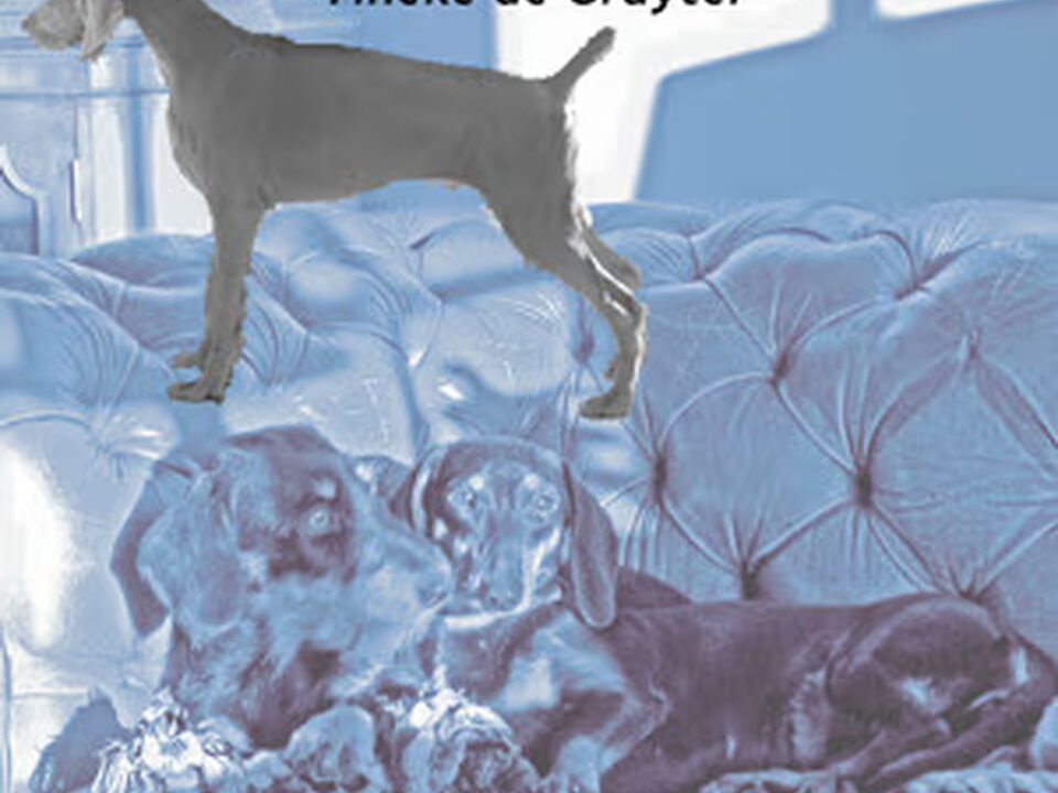 Foto van Meander Weimaraners & Teckels -Tineke de Gruijter
