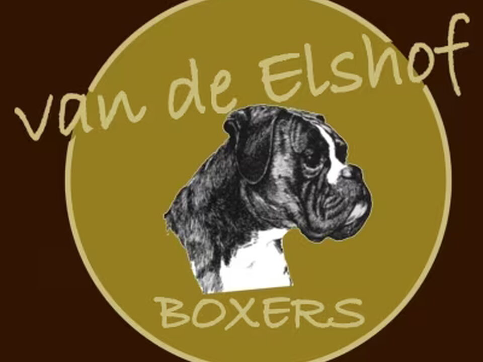 Foto van Van de Elshof boxers