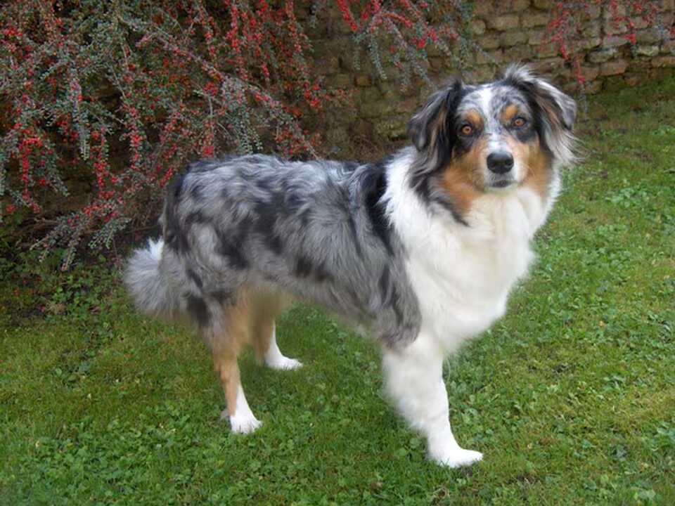 Foto van Vandewalle Vanhonsebrouck