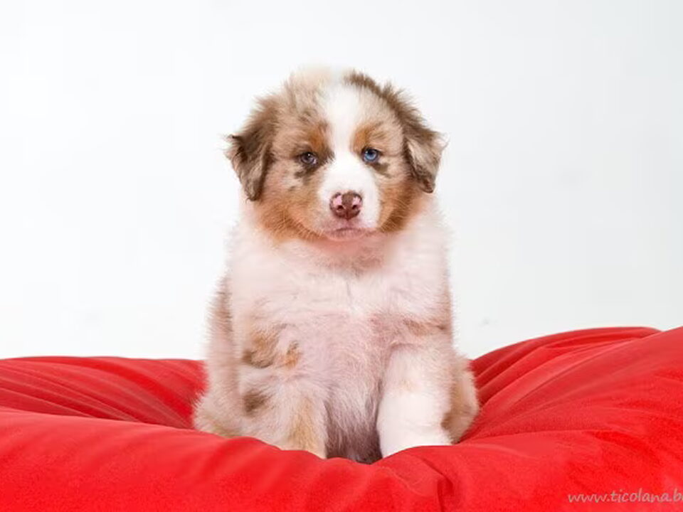 Foto van Happy Spark