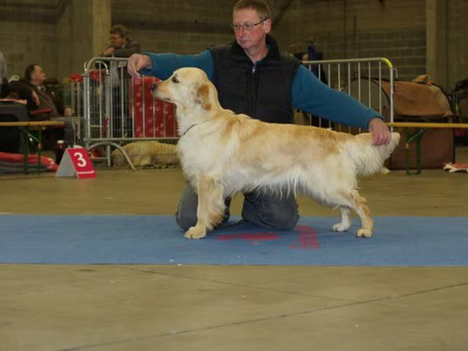 Foto van goldenhof terbos