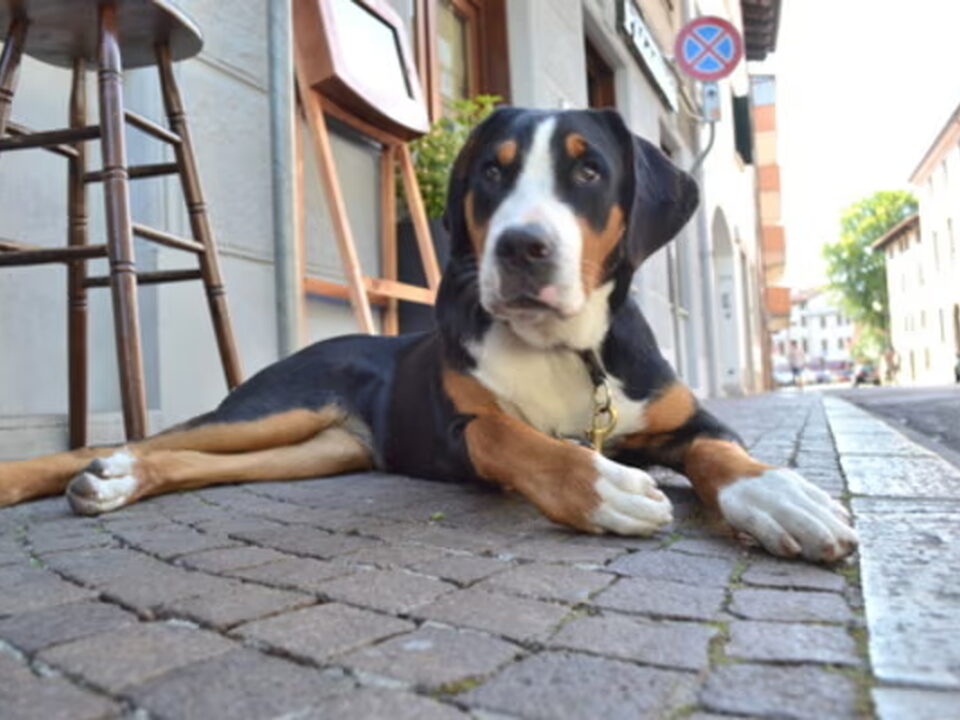 Foto van Karhunkierros