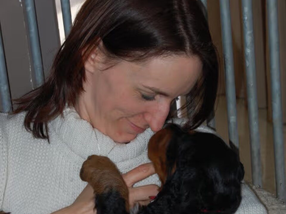 Pups van GORDON SETTERS FROM THE GRAZINGLAND