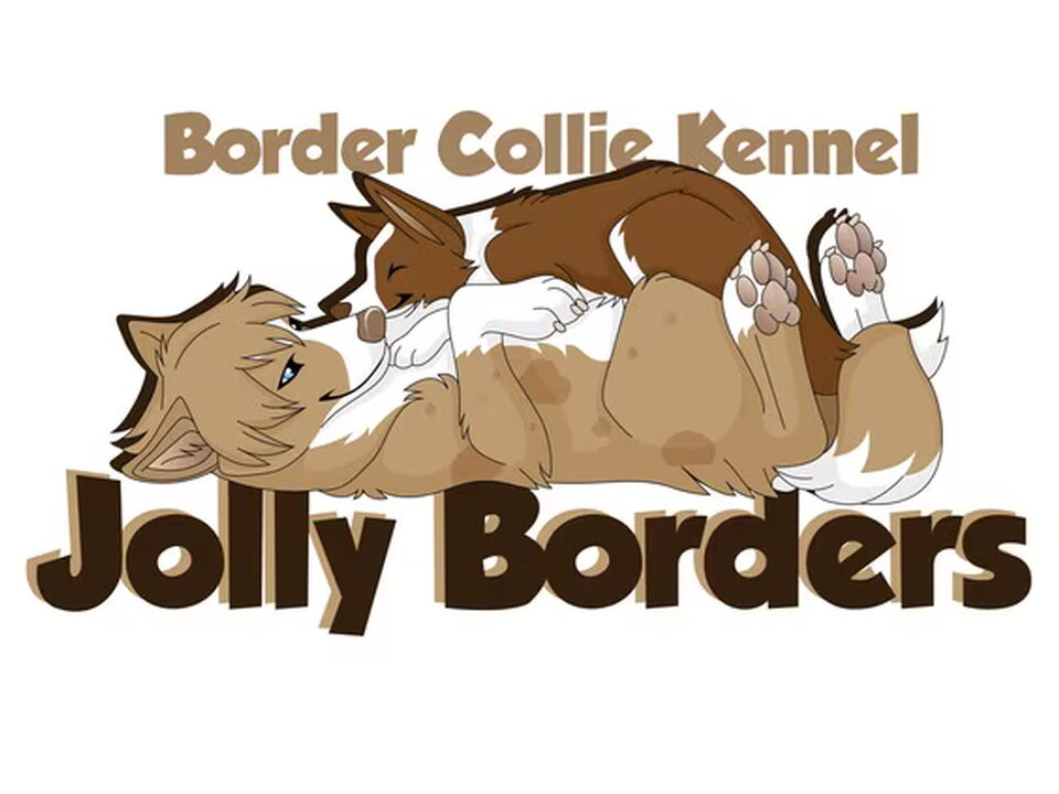 Foto van jolly borders