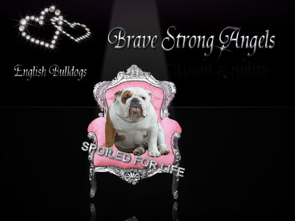Foto van Brave Strong Angels