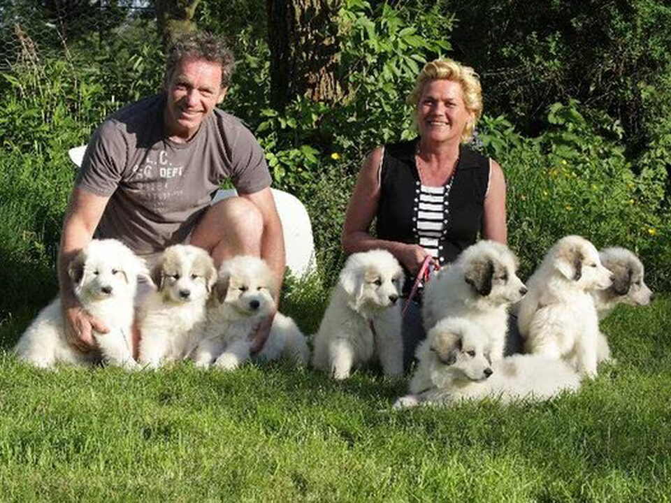 Foto van Kennel MacThree