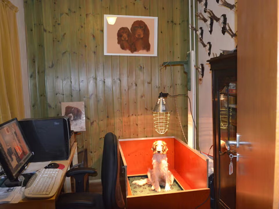 Foto van Kennel van de Drentsche Hünnen