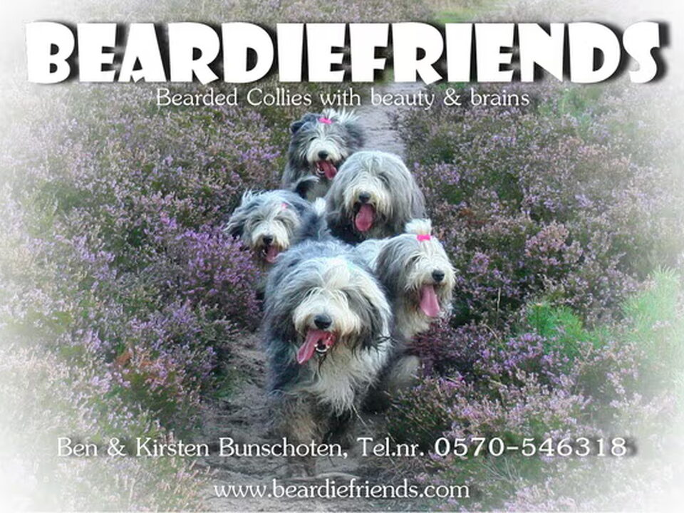 Foto van Beardiefriends