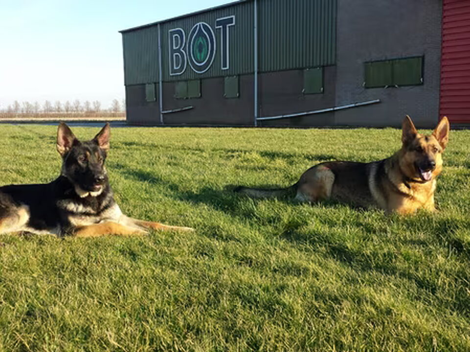 Foto van Westfriesland working dogs