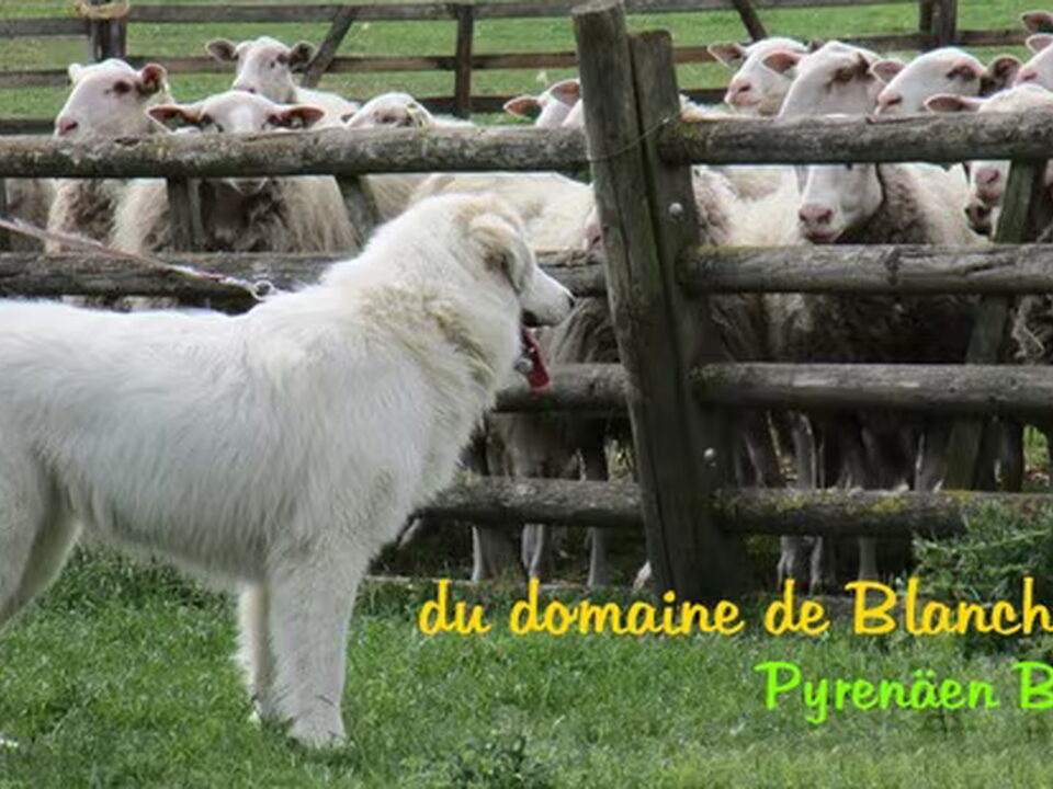 Foto van du domaine de Blanche-Neige
