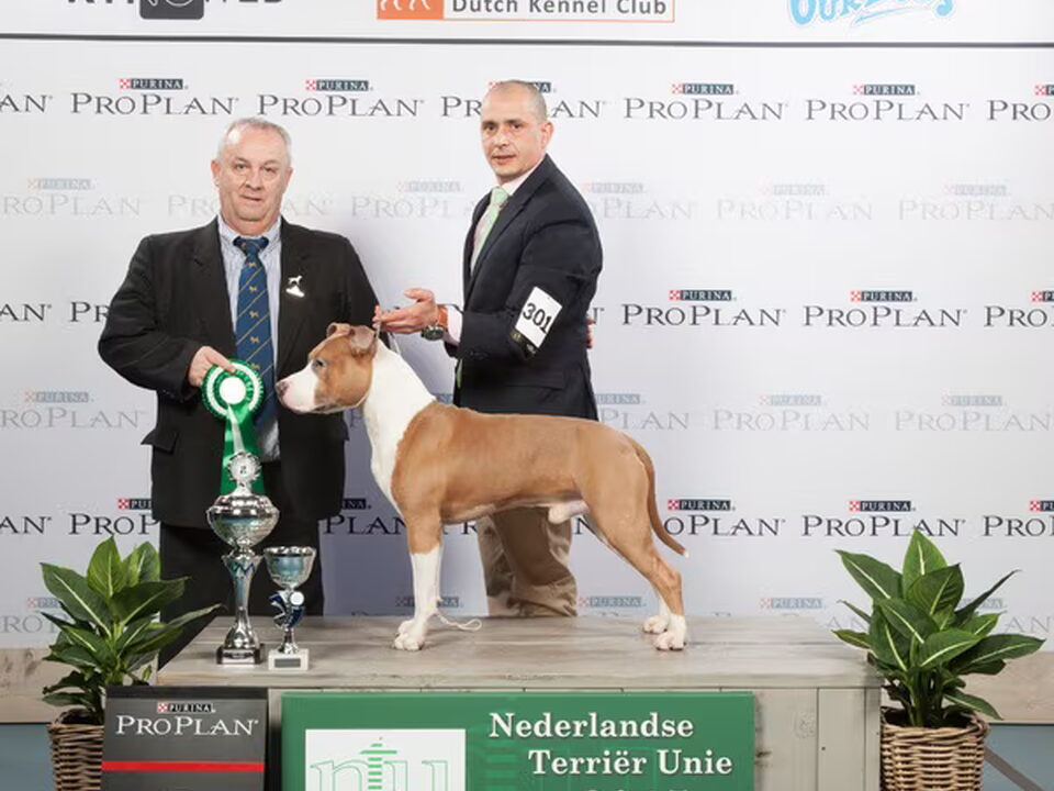 Foto van The Kids Best Frend's kennel