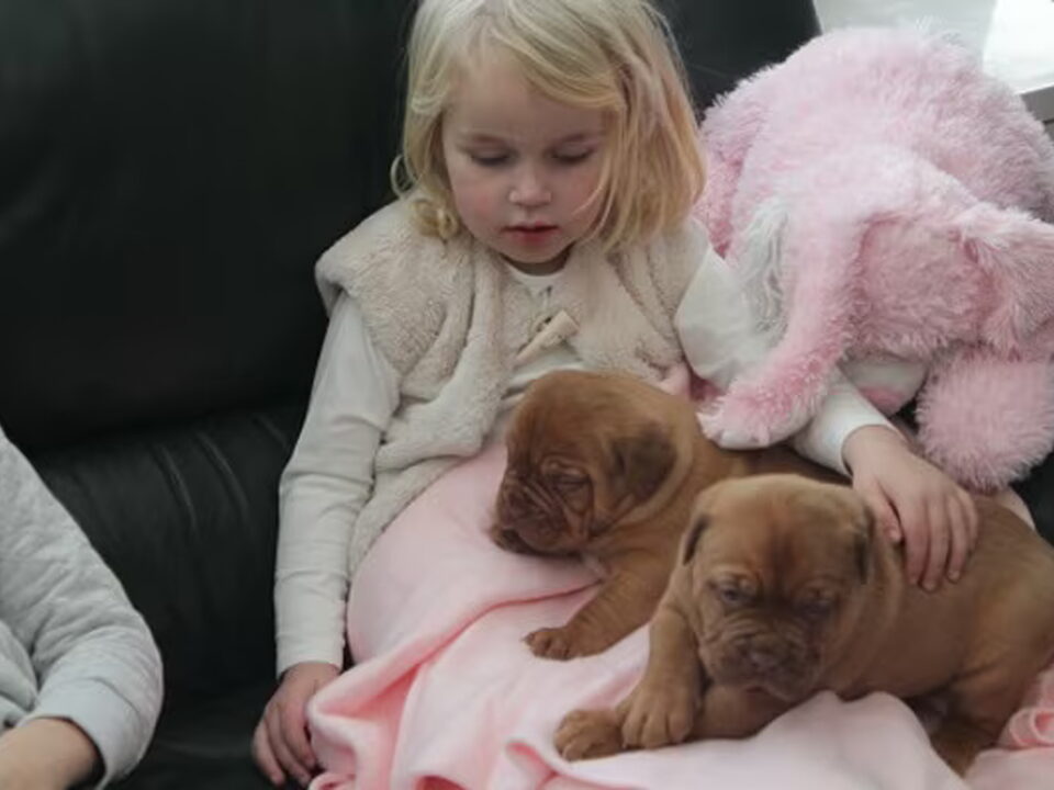 Pups van von ruflohof