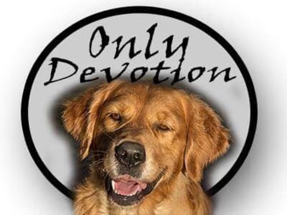 Foto van Only Devotion