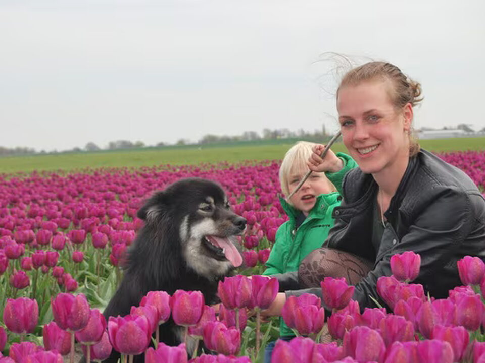 Foto van Saar