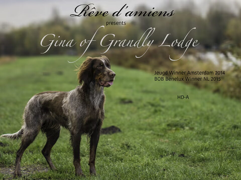 Foto van Rêve d'Amiens