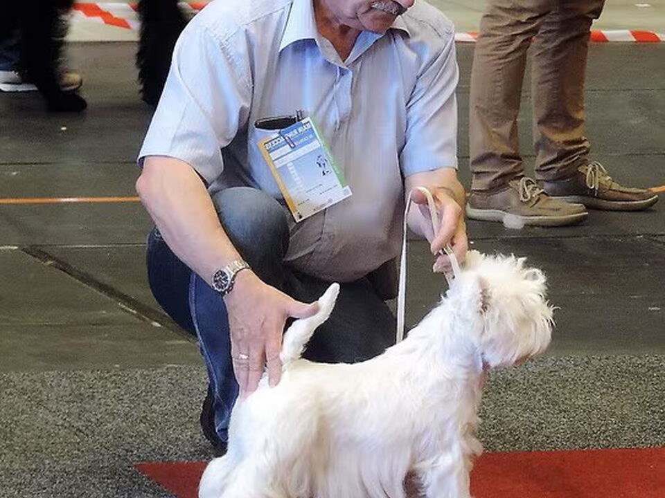 Pups van Jo en Maria Claassens