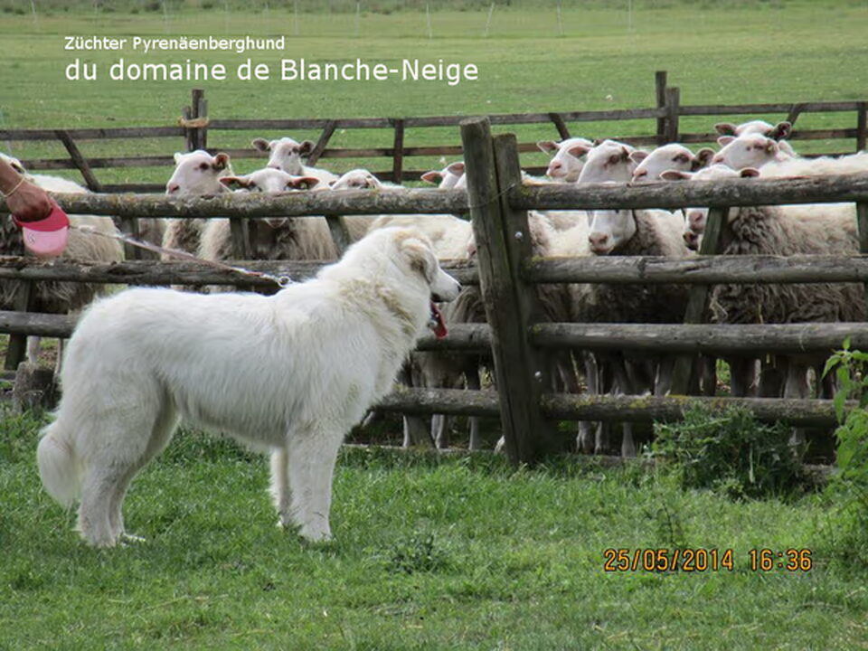 Foto van du domaine de Blanche-Neige