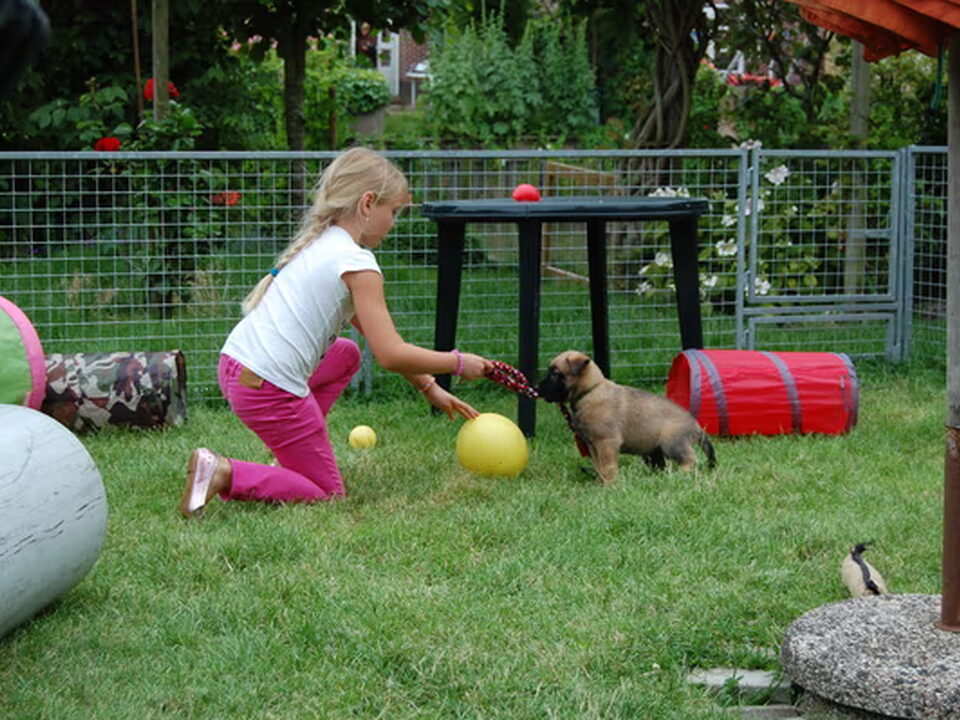 Foto van Kennel Van Goeden Huize"