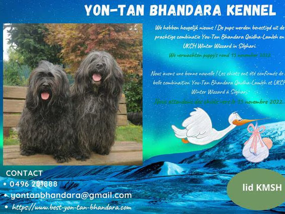 Pups van yon-Tan Bhandara